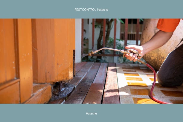 PEST CONTROL Halesite